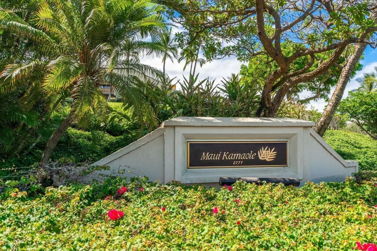 Apartment Honu Sunset Steps To The Beach Wailea  United States