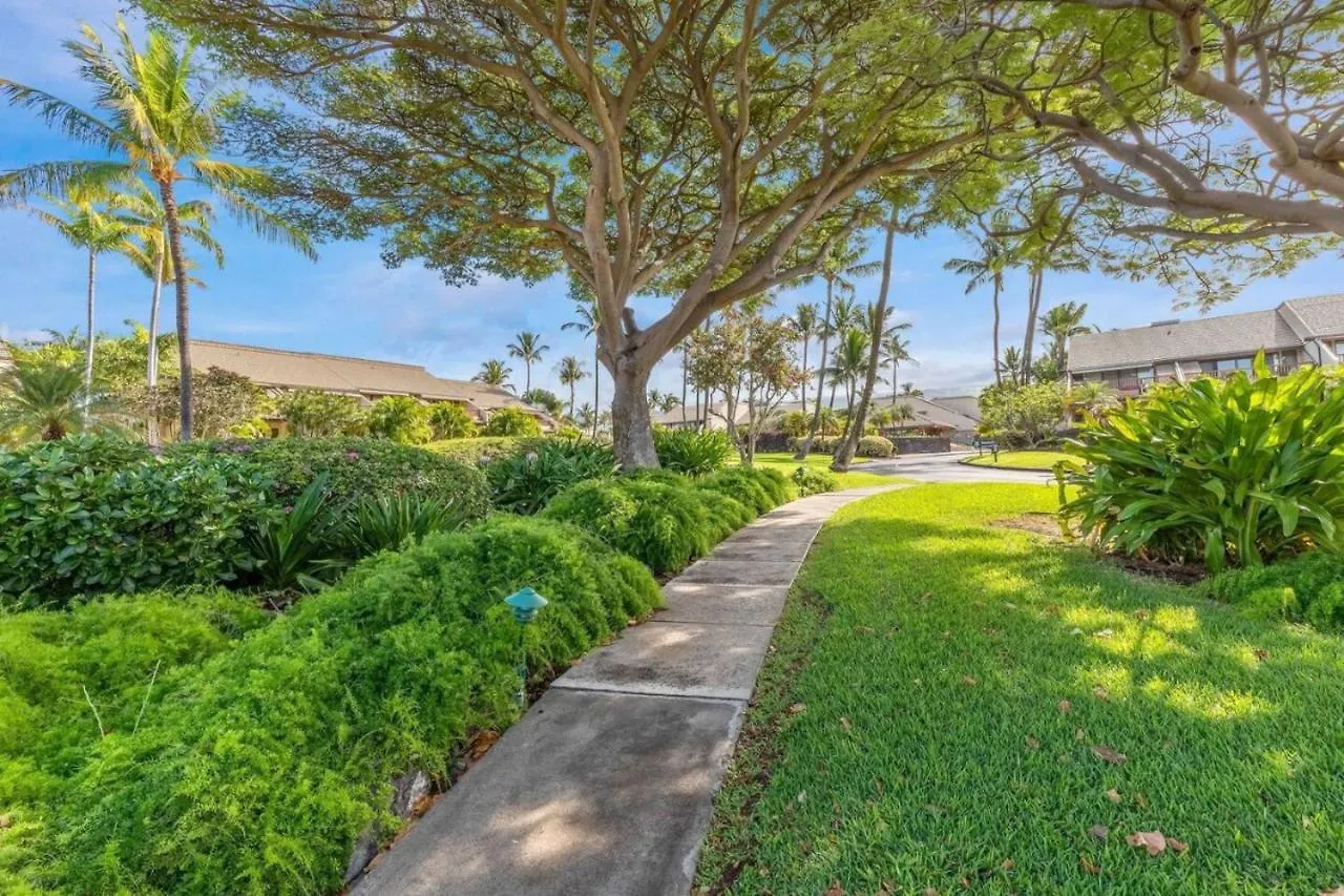 Honu Sunset Steps To The Beach Wailea  0*, Wailea (Maui)