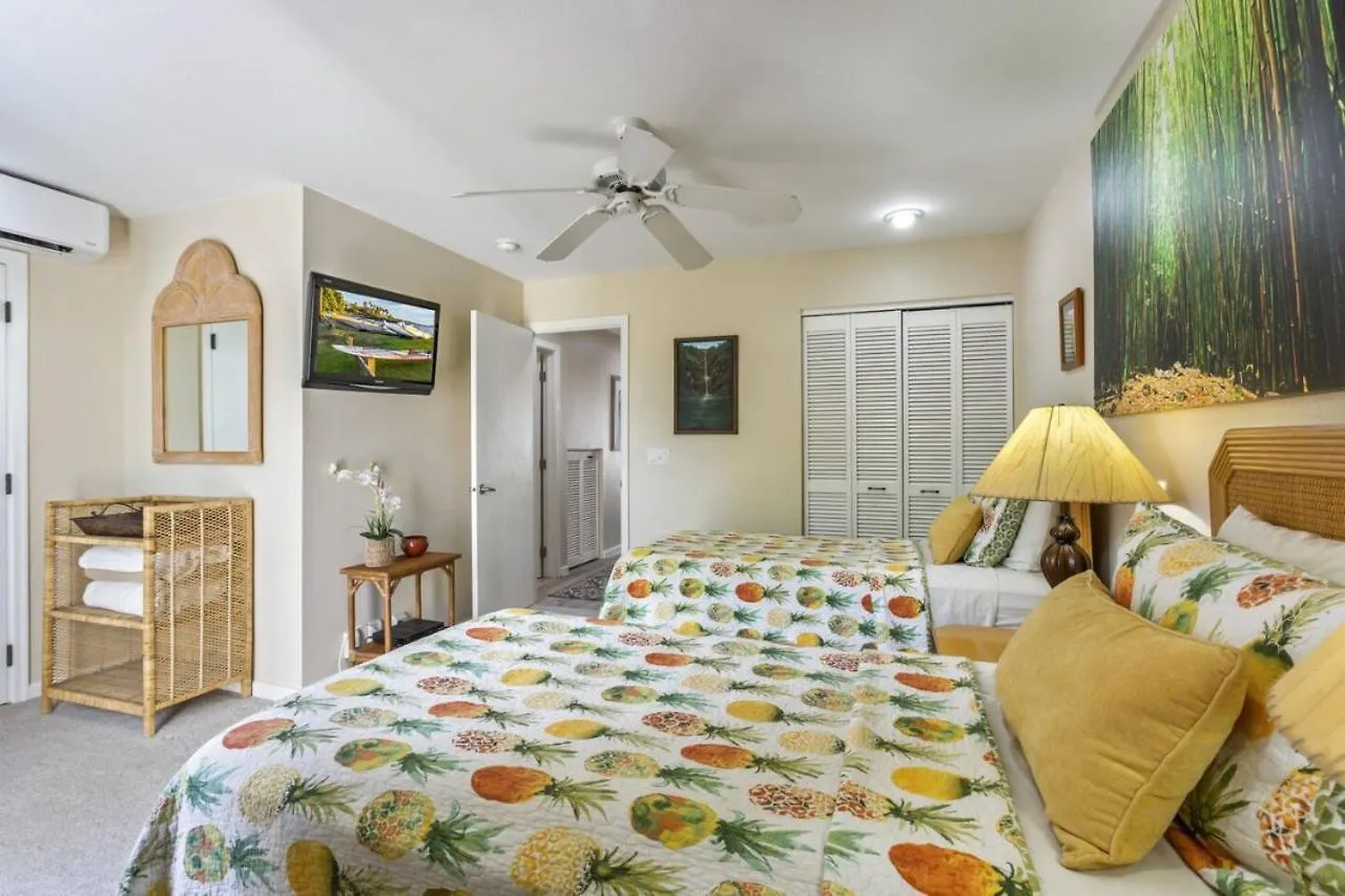 Apartment Honu Sunset Steps To The Beach Wailea
